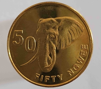 50 нгве 2012г. Замбия. Слон, состояние UNC - Мир монет